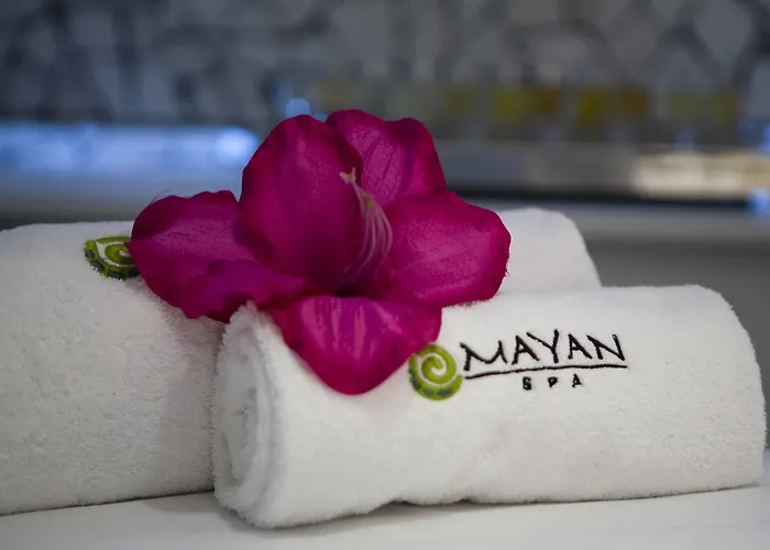 巴塞罗万丽酒店 5* 巴塞罗那