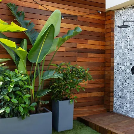 رينيسانس برشلونة